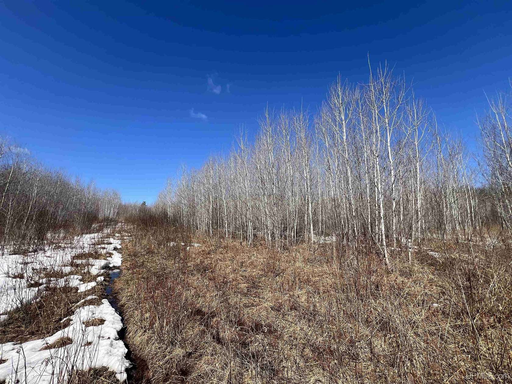 16 Acres of Recreational & Residential Land for Sale in Iron River, Michigan