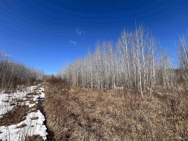 16 Acres of Recreational & Residential Land for Sale in Iron River, Michigan