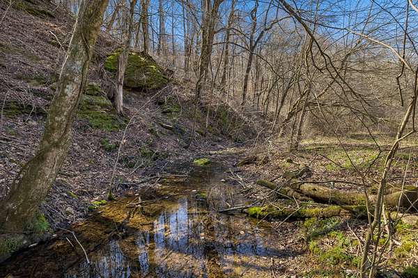 45.6 Acres of Land for Sale in Mount Pleasant, Tennessee