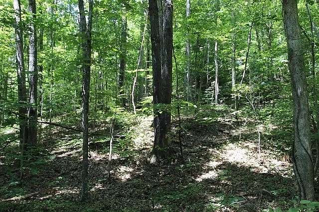 38.4 Acres of Land for Sale in Westmoreland, Tennessee