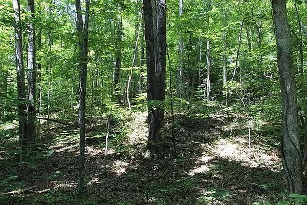 38.4 Acres of Land for Sale in Westmoreland, Tennessee
