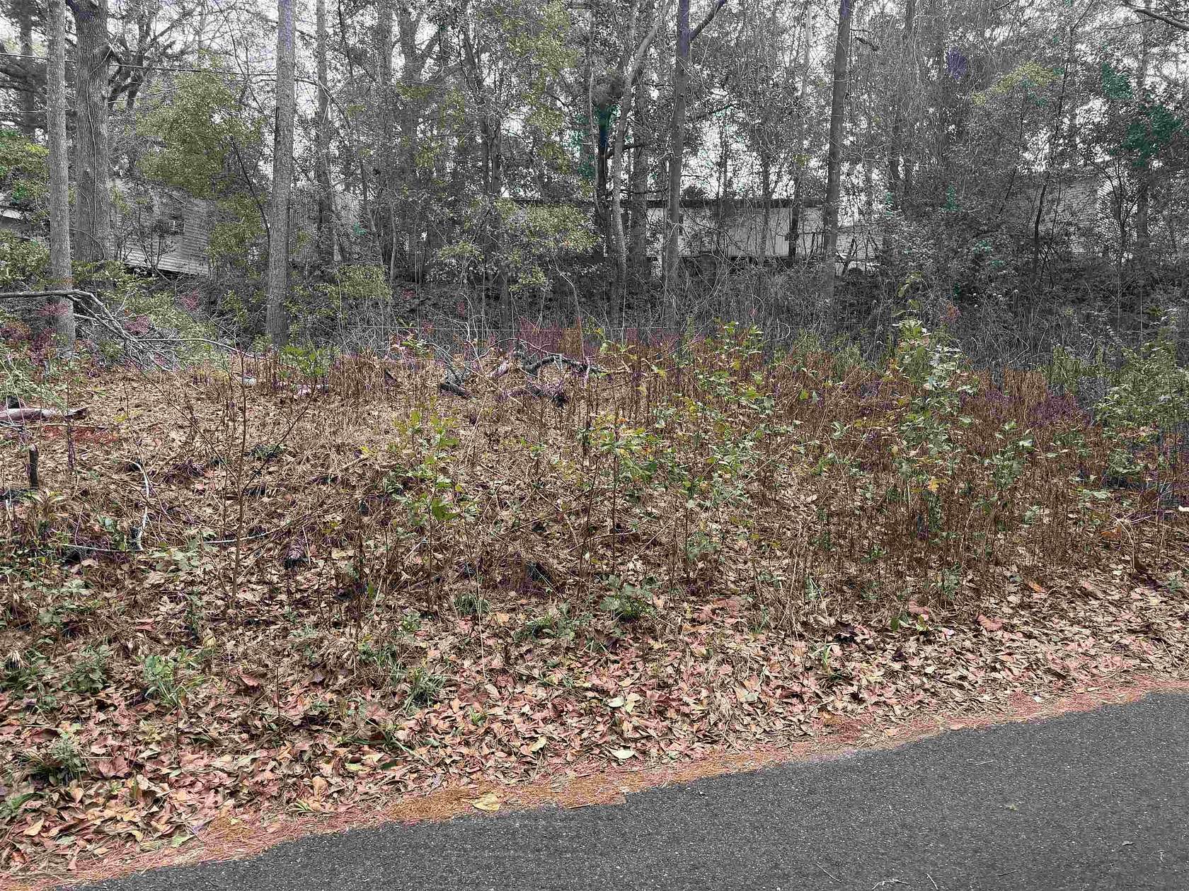 0.13 Acres of Land for Sale in Tallahassee, Florida