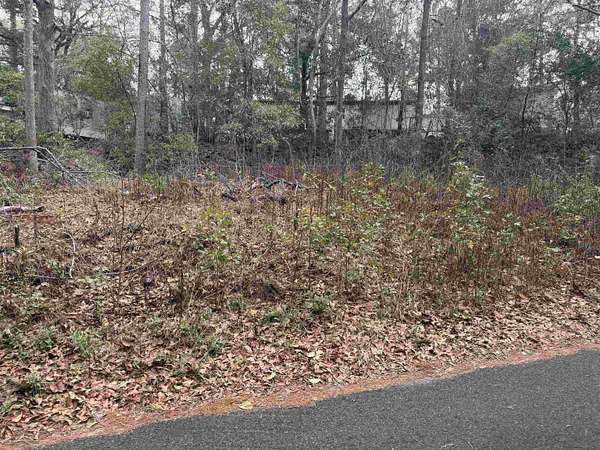 0.13 Acres of Land for Sale in Tallahassee, Florida
