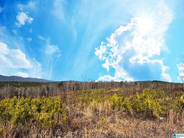 335 Acres of Recreational Land for Sale in Piedmont, Alabama