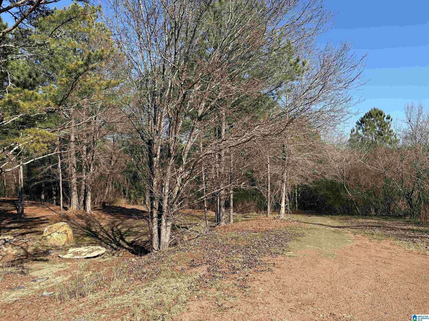 3 Acres of Residential Land for Sale in Birmingham, Alabama