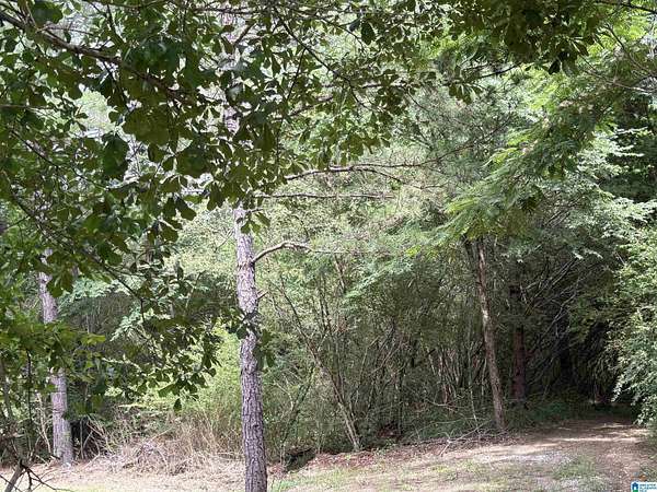 3 Acres of Residential Land for Sale in Birmingham, Alabama