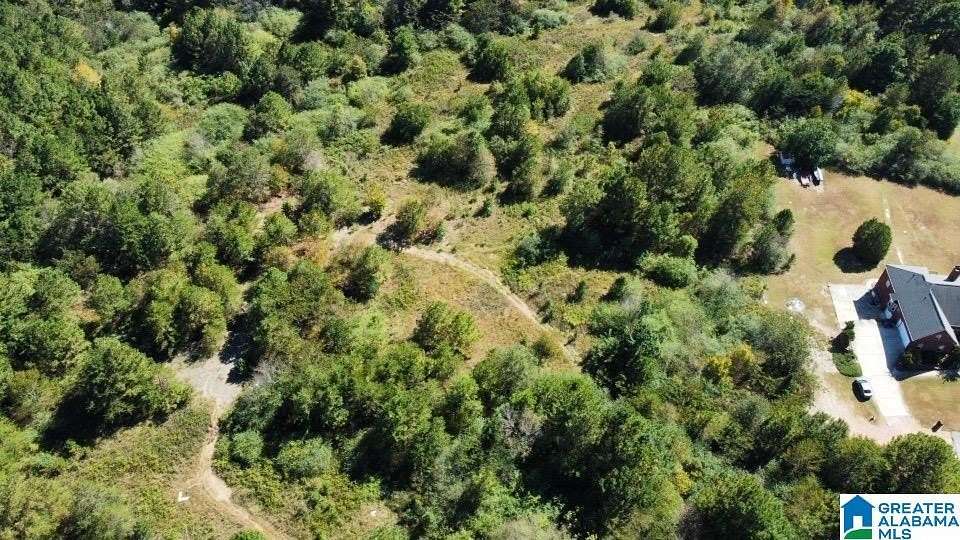 3 Acres of Residential Land for Sale in Birmingham, Alabama