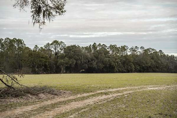 11.5 Acres of Land for Sale in Chiefland, Florida