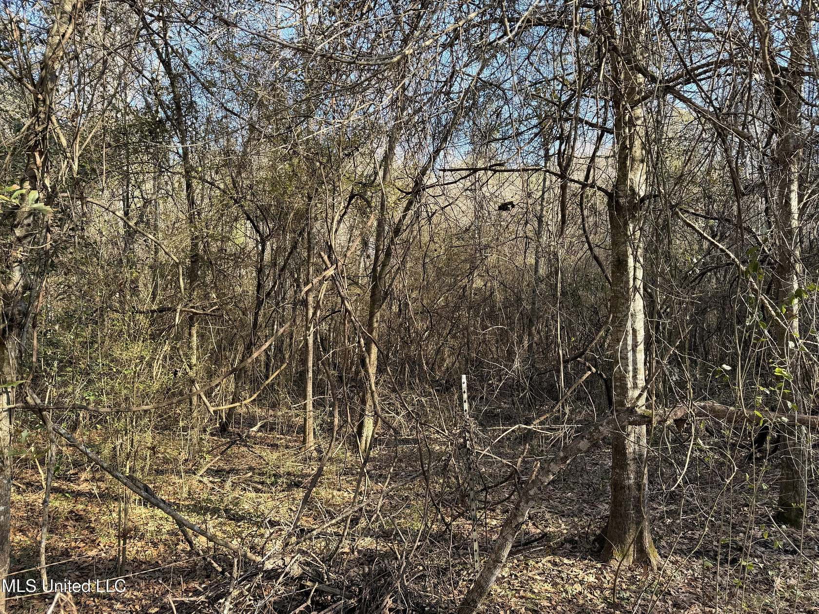 0.57 Acres of Residential Land for Sale in Summit, Mississippi