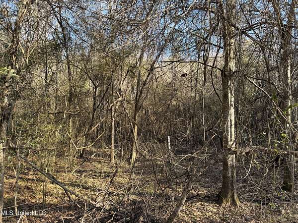 0.57 Acres of Residential Land for Sale in Summit, Mississippi