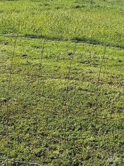 0.24 Acres of Commercial Land for Sale in American Canyon, California