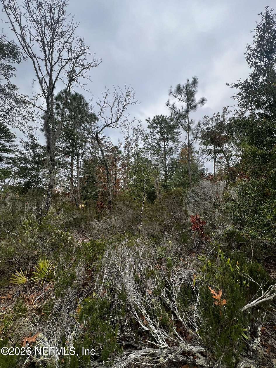 0.2 Acres of Residential Land for Sale in Interlachen, Florida