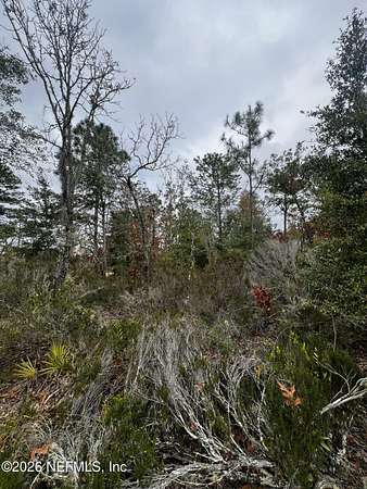 0.2 Acres of Residential Land for Sale in Interlachen, Florida