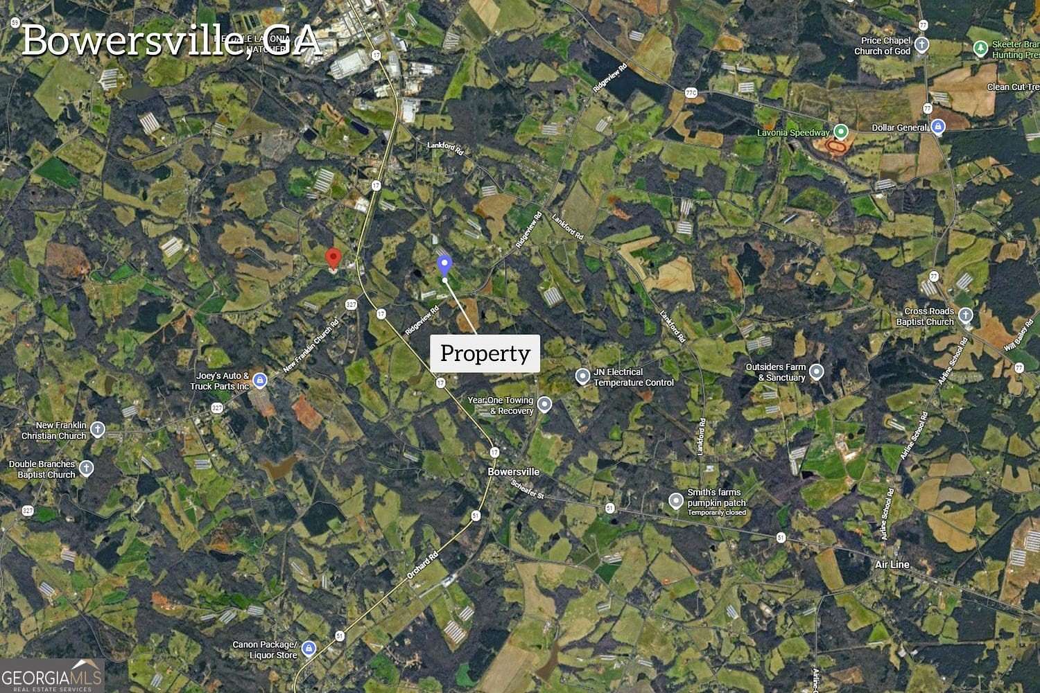 19.5 Acres of Land for Sale in Bowersville, Georgia
