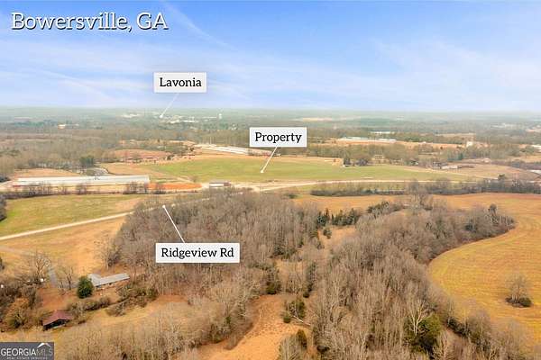 19.5 Acres of Land for Sale in Bowersville, Georgia