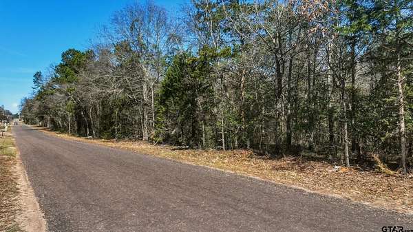 24 Acres of Recreational Land for Sale in Longview, Texas