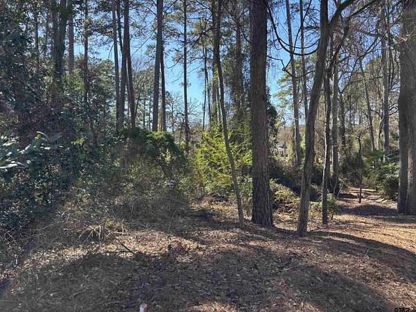 0.34 Acres of Residential Land for Sale in Bullard, Texas