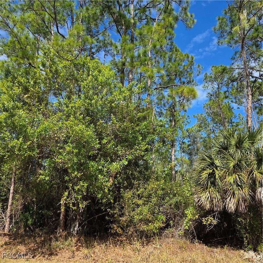 1.14 Acres of Commercial Land for Sale in Naples, Florida