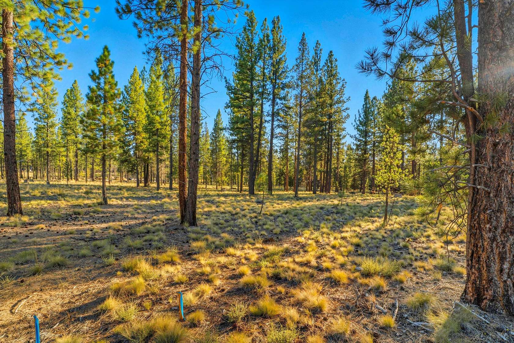 0.46 Acres of Residential Land for Sale in Bend, Oregon