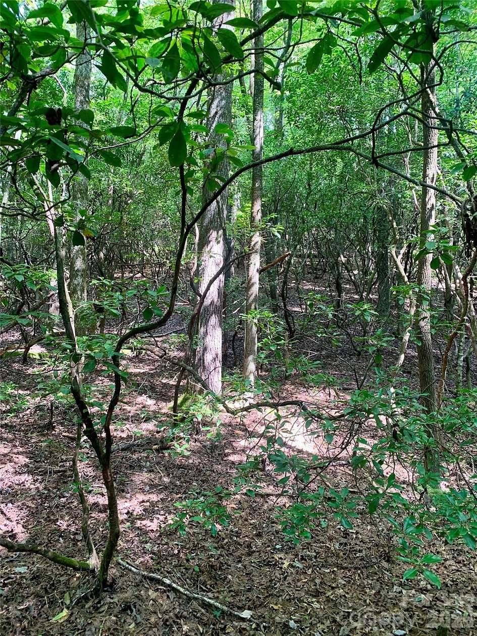 1.13 Acres of Land for Sale in Brevard, North Carolina