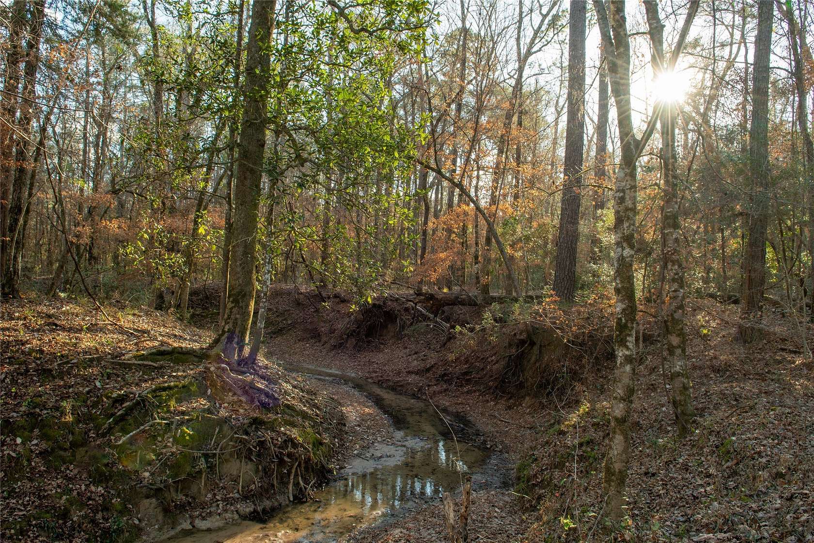 70 Acres of Land for Sale in Livingston, Texas