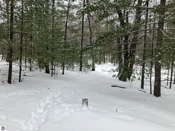 0.31 Acres of Land for Sale in Alger, Michigan