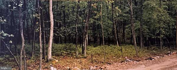 0.7 Acres of Residential Land for Sale in Hazle Township, Pennsylvania