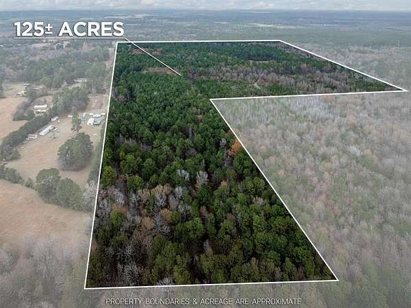 125 Acres of Recreational Land for Sale in Waskom, Texas