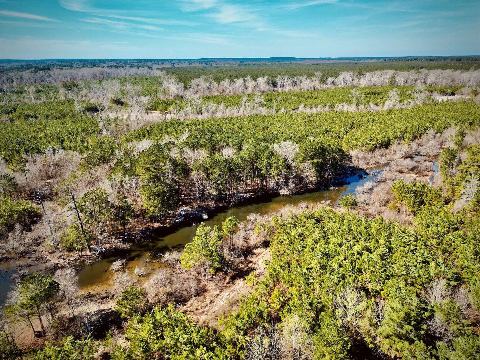 35 Acres of Recreational & Residential Land for Sale in Frierson, Louisiana