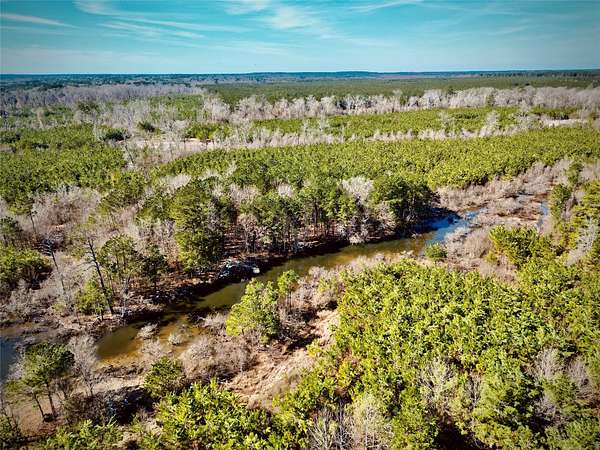 35 Acres of Recreational & Residential Land for Sale in Frierson, Louisiana