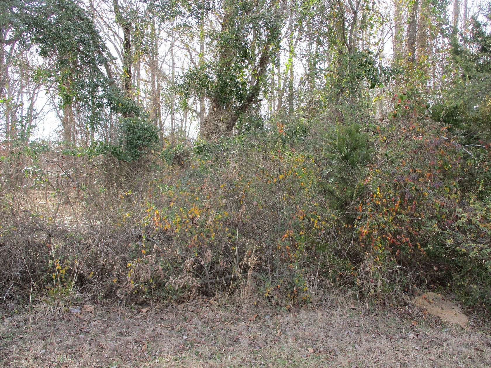 6.62 Acres of Residential Land for Sale in Alba, Texas