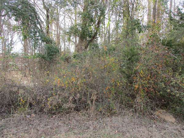 6.62 Acres of Residential Land for Sale in Alba, Texas