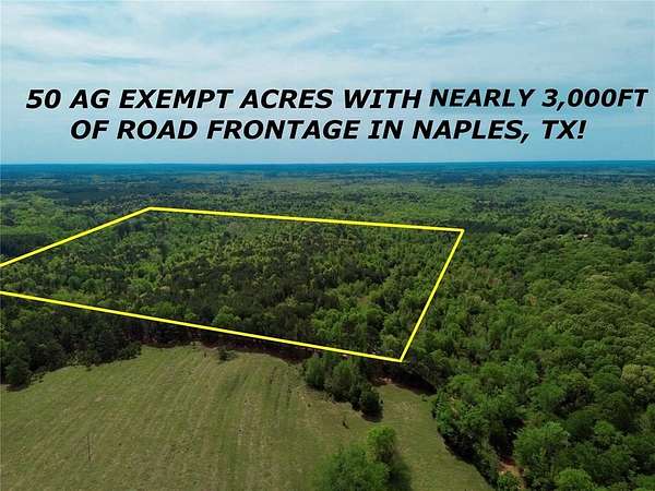 50.1 Acres of Recreational Land for Sale in Naples, Texas