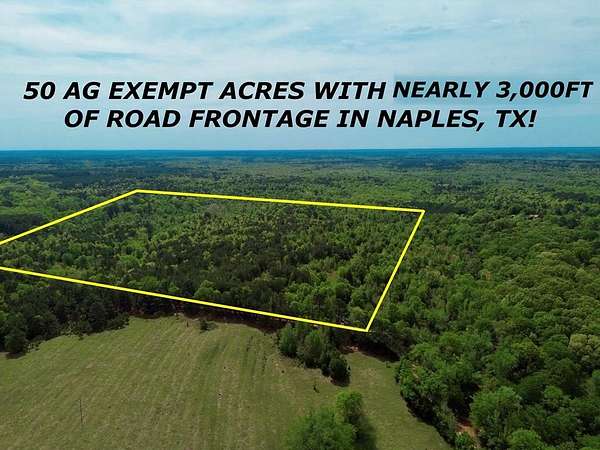 50.1 Acres of Recreational & Residential Land for Sale in Naples, Texas