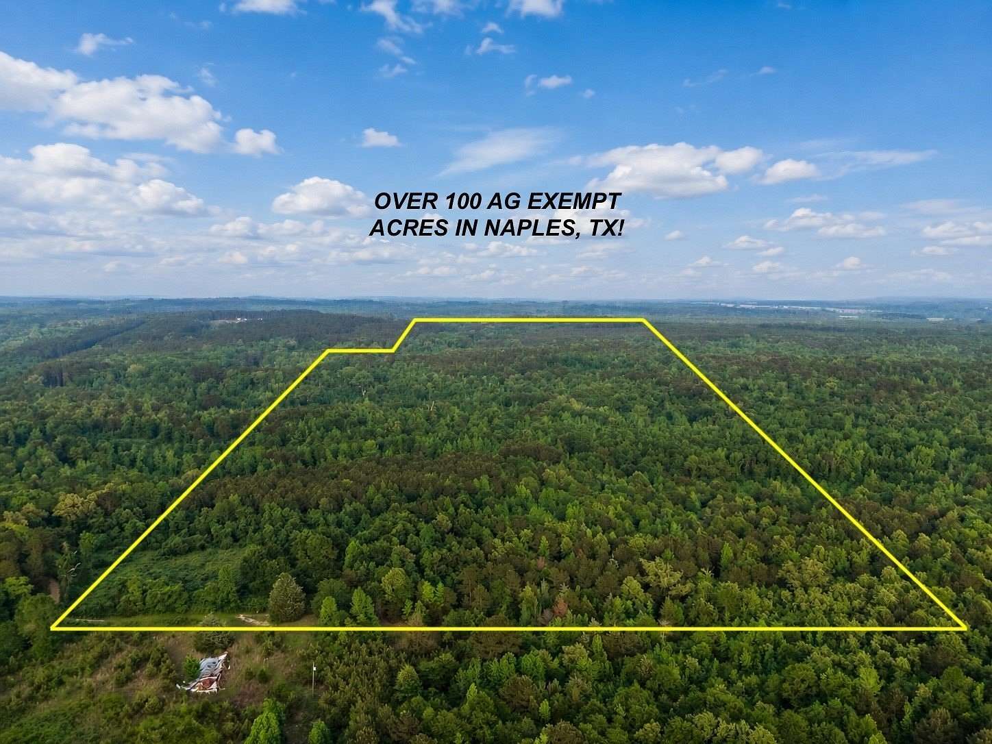 114 Acres of Recreational & Residential Land for Sale in Naples, Texas
