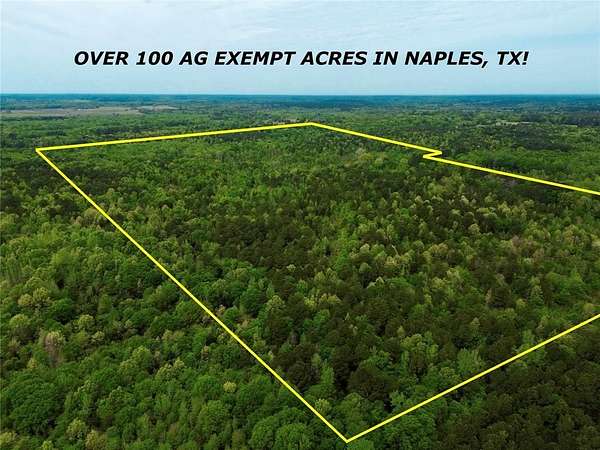114 Acres of Recreational Land for Sale in Naples, Texas