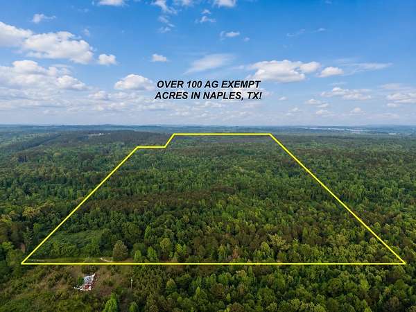 114 Acres of Recreational & Residential Land for Sale in Naples, Texas