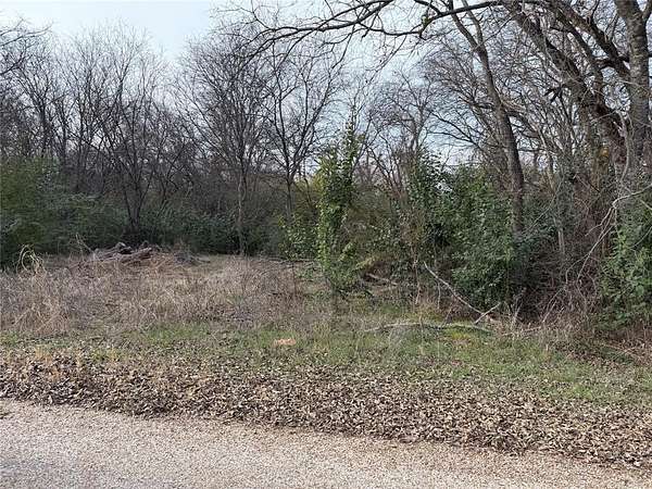 0.28 Acres of Land for Sale in Kopperl, Texas