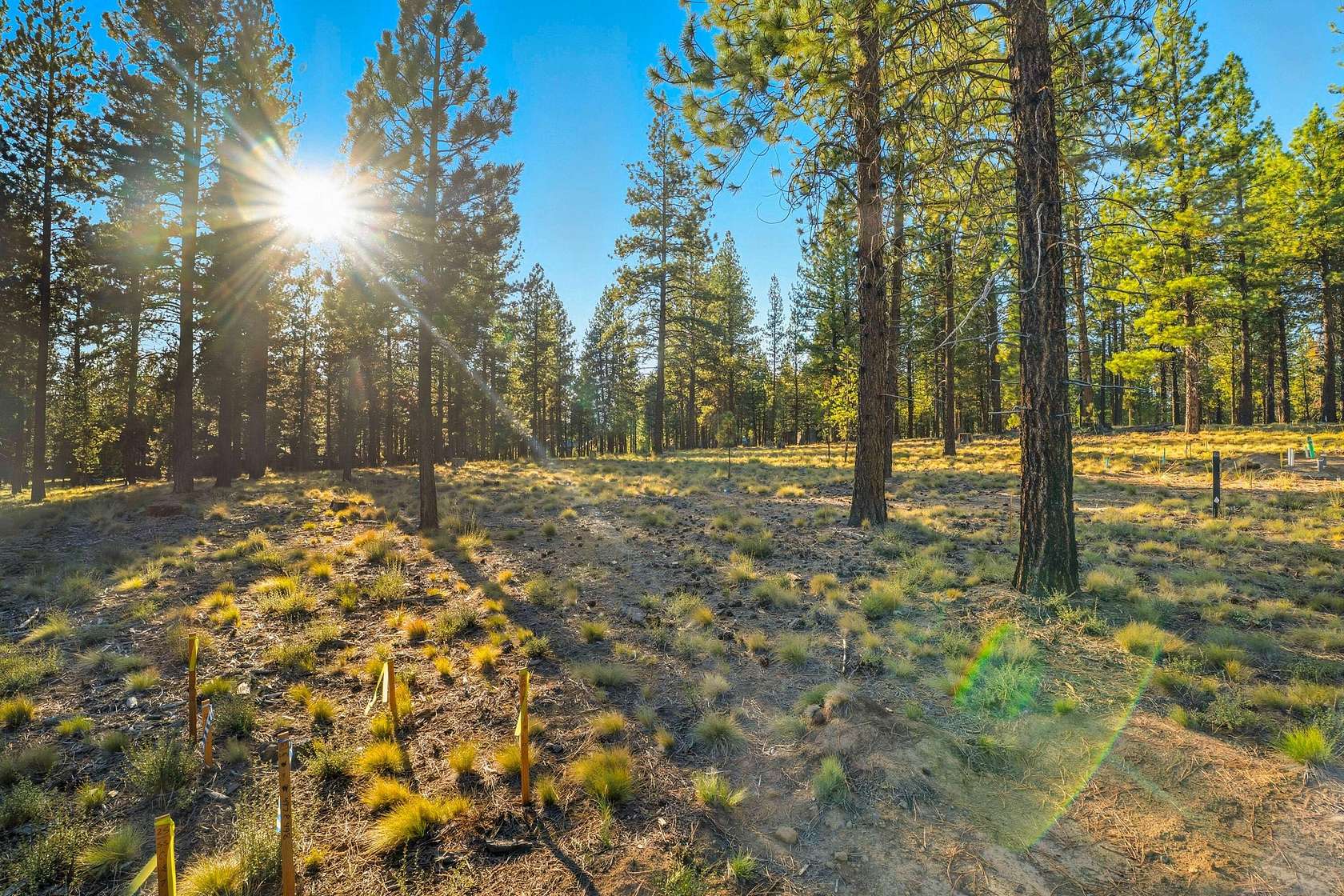 0.46 Acres of Residential Land for Sale in Bend, Oregon