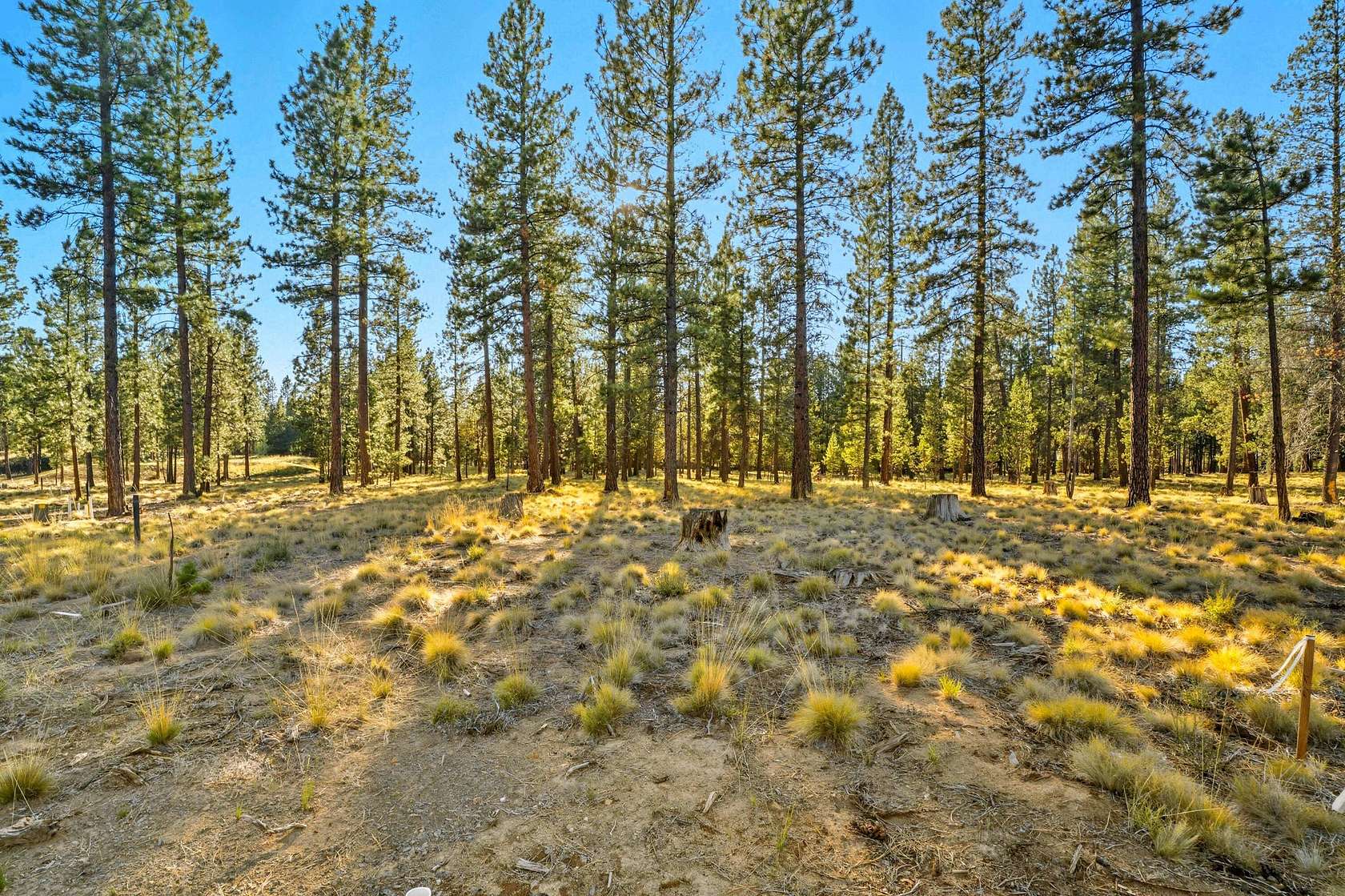 0.48 Acres of Residential Land for Sale in Bend, Oregon