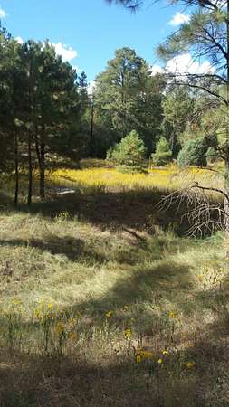 5 Acres of Residential Land for Sale in Tijeras, New Mexico