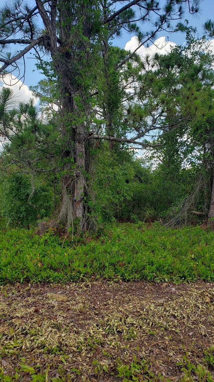 0.44 Acres of Residential Land for Sale in Lake Placid, Florida