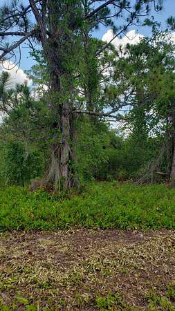 0.44 Acres of Residential Land for Sale in Lake Placid, Florida