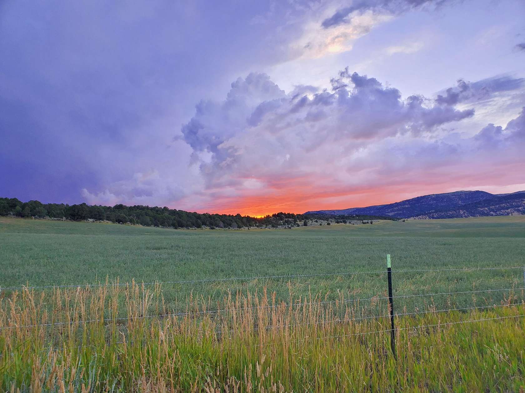 628 Acres of Recreational Land & Farm for Sale in Meeker, Colorado