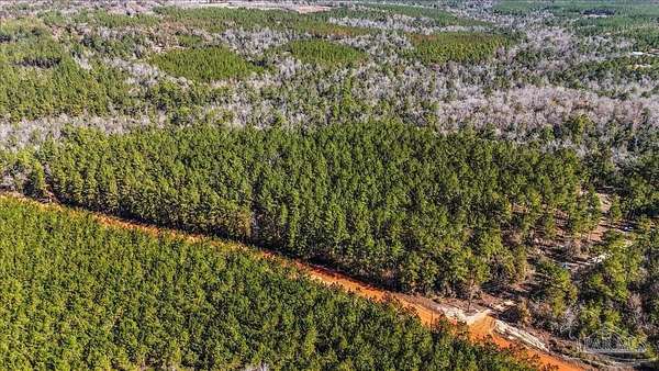 25.1 Acres of Recreational Land & Farm for Sale in Pace, Florida