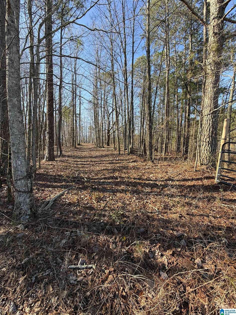 9 Acres of Residential Land for Sale in Cragford, Alabama