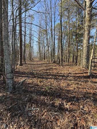 9 Acres of Residential Land for Sale in Cragford, Alabama