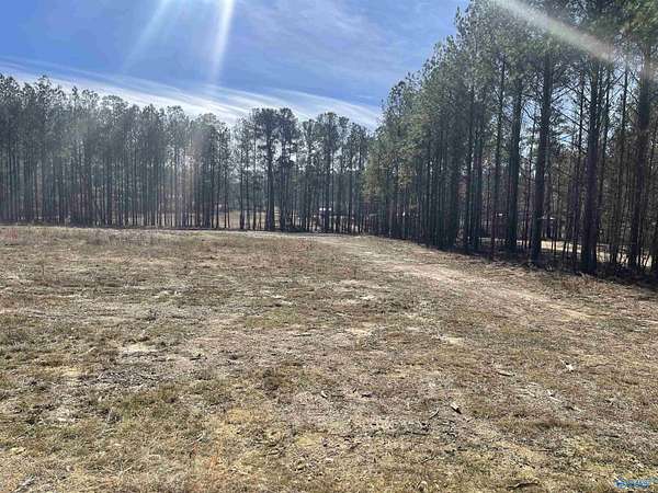 7.73 Acres of Residential Land for Sale in Ashville, Alabama