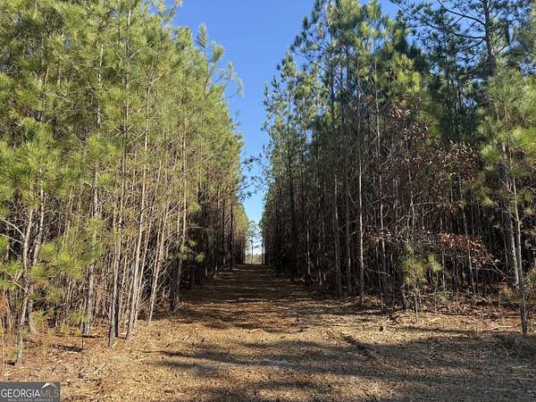 14 Acres of Land for Sale in Tallassee, Alabama