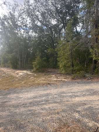 5.14 Acres of Recreational Land for Sale in Hawthorne, Florida